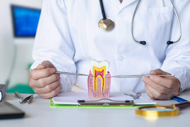Best Emergency Treatment for Dental Infections or Abscesses in Cornish, ME